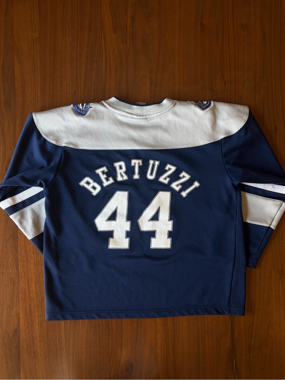 Early 2000’s Nike Team Vancouver Canucks Todd Bertuzzi #44 Kids Jersey | Youth M